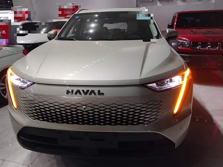 Фото 3 - Haval Ruge Max