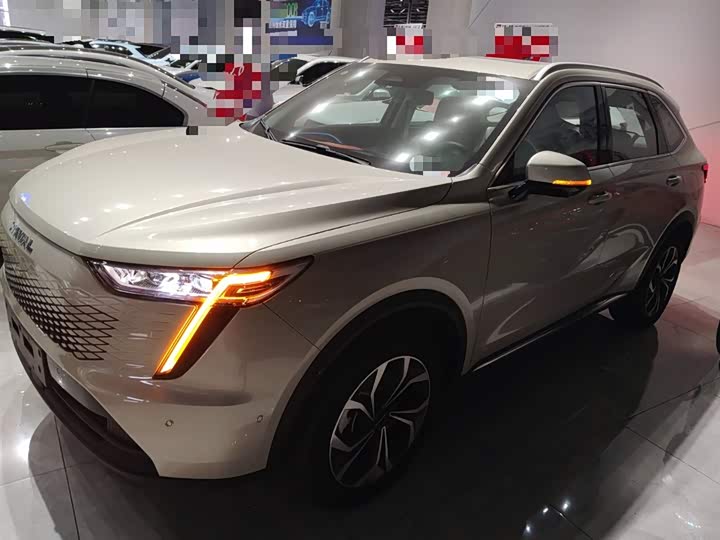 Фото 5 - Haval Ruge Max