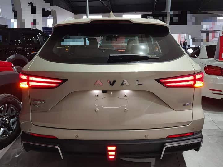 Фото 6 - Haval Ruge Max