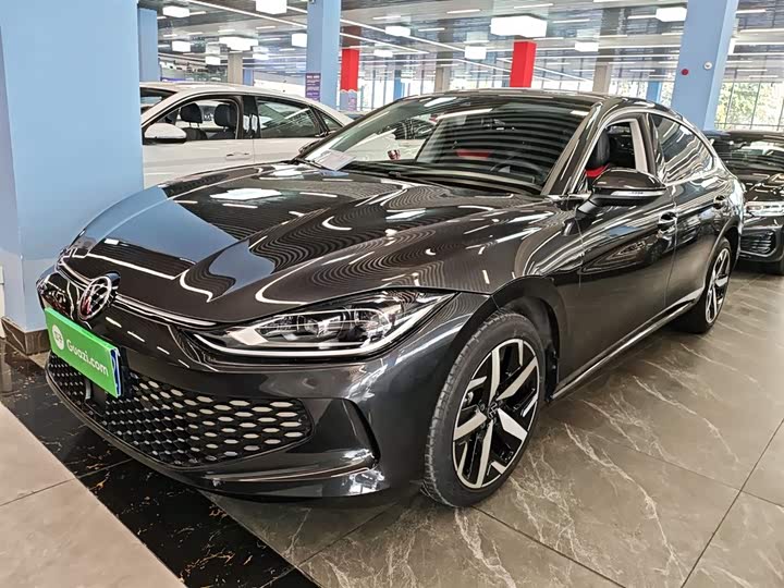 Фото 2 - Volkswagen Lamando L