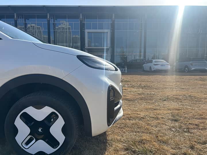 Фото 4 - BAIC Arcfox Kaola S