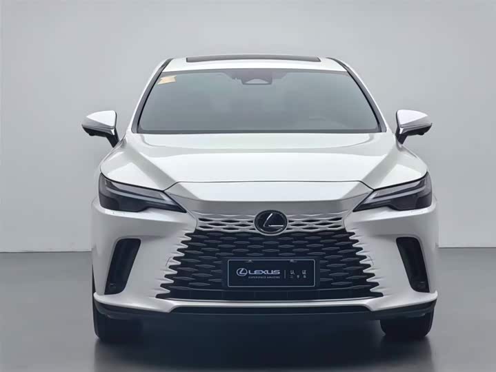 Фото 2 - Lexus RX