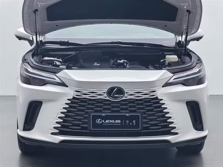 Фото 3 - Lexus RX