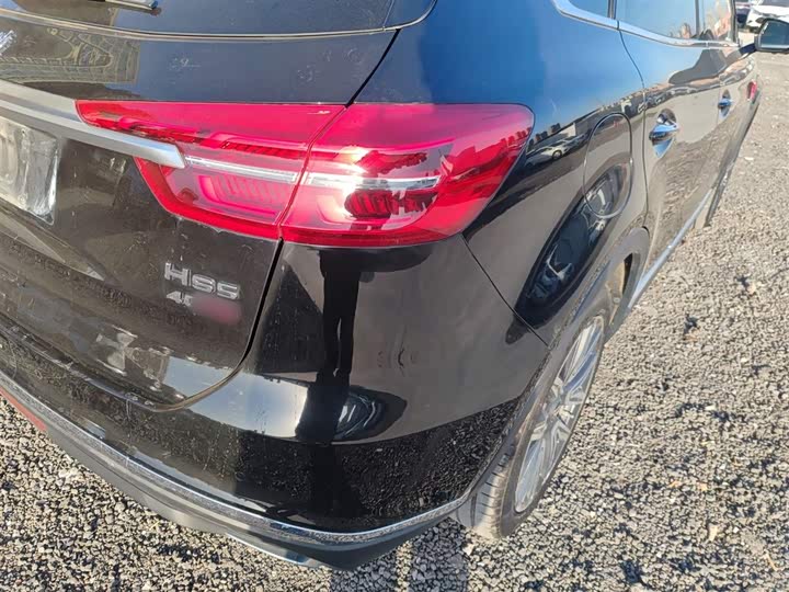 Фото 8 - Hongqi HS5