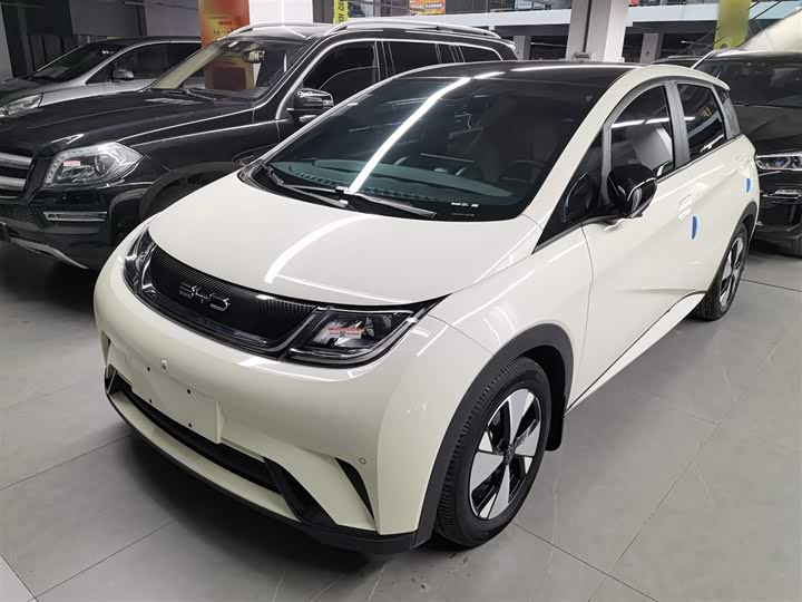 Фото 2 - BYD Dolphin