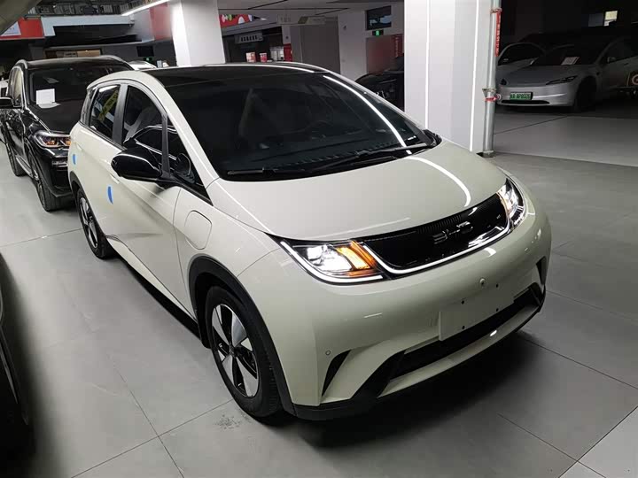 Фото 4 - BYD Dolphin