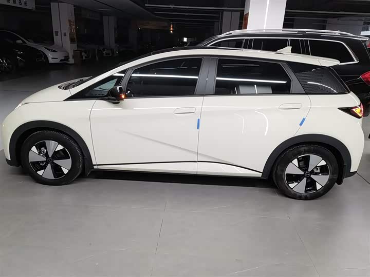 Фото 5 - BYD Dolphin