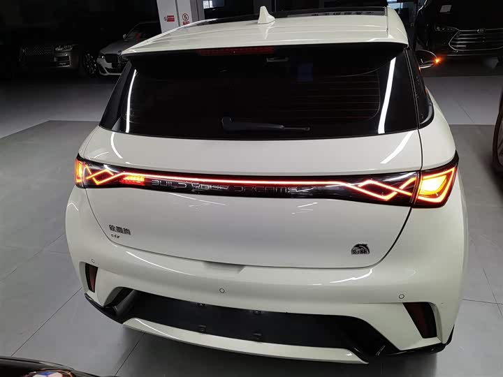 Фото 6 - BYD Dolphin