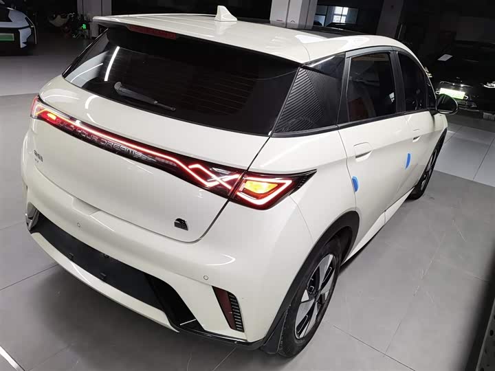 Фото 7 - BYD Dolphin