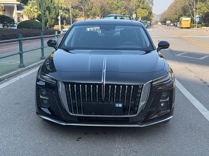 Фото 2 - Hongqi H5