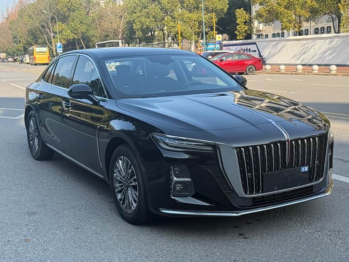 Фото 3 - Hongqi H5