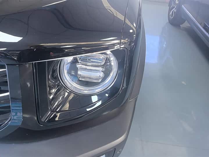 Фото 5 - Haval Dargo