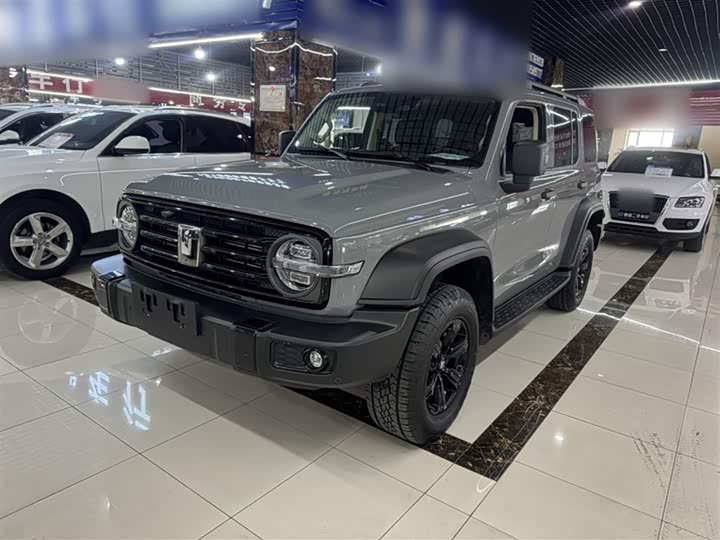 Фото 2 - Tank 300