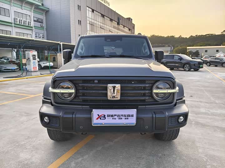 Фото 3 - Tank 300