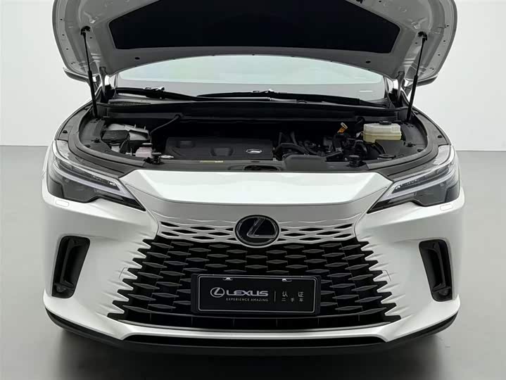 Фото 3 - Lexus RX