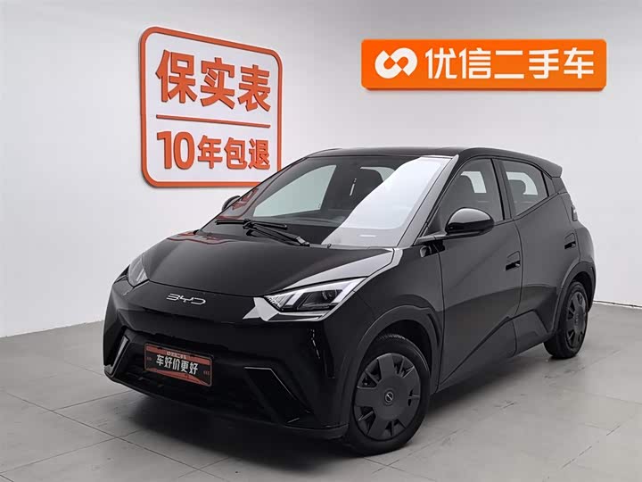 Фото 1 - BYD Seagull