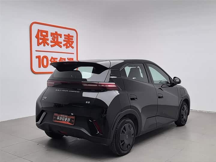 Фото 2 - BYD Seagull