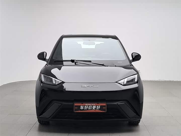 Фото 3 - BYD Seagull