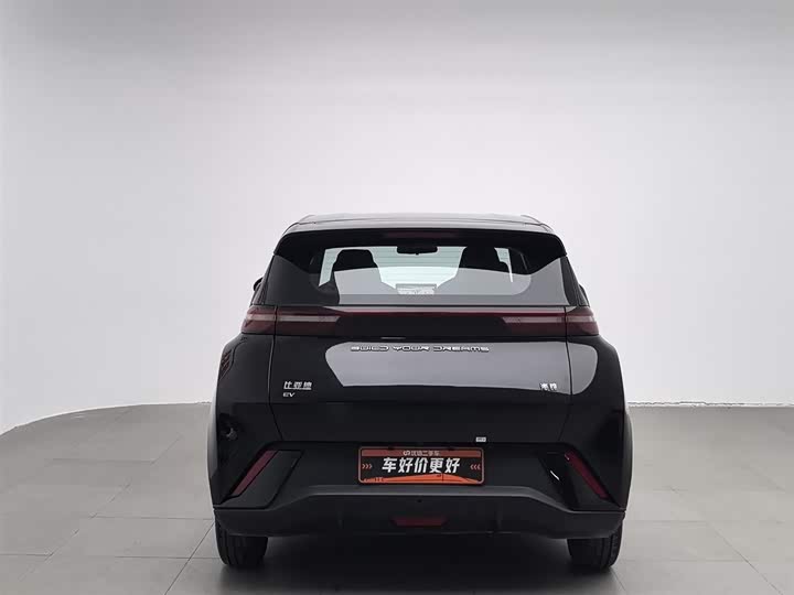 Фото 4 - BYD Seagull