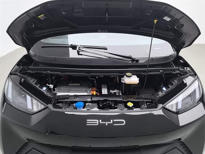 Фото 6 - BYD Seagull