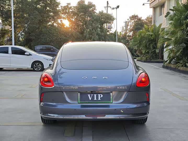 Фото 5 - Ora Lightning Cat (07)