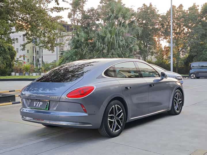 Фото 7 - Ora Lightning Cat (07)