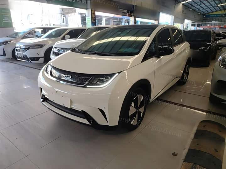 Фото 1 - BYD Dolphin