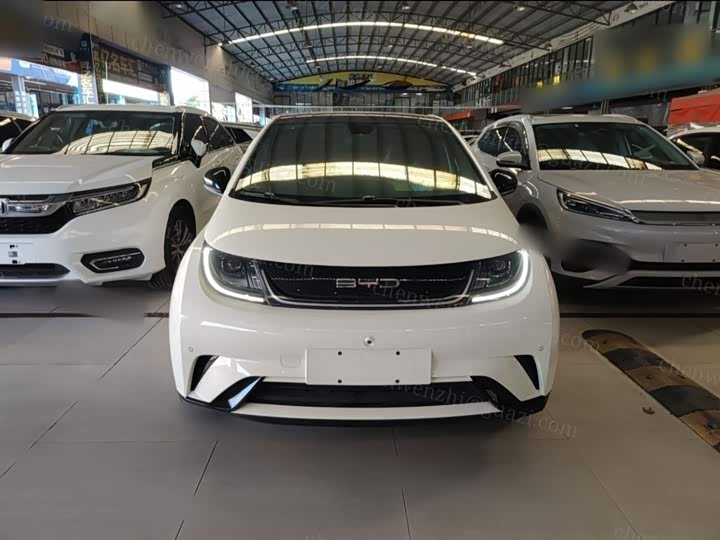 Фото 3 - BYD Dolphin