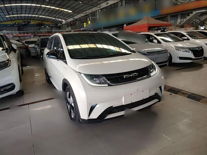 Фото 4 - BYD Dolphin