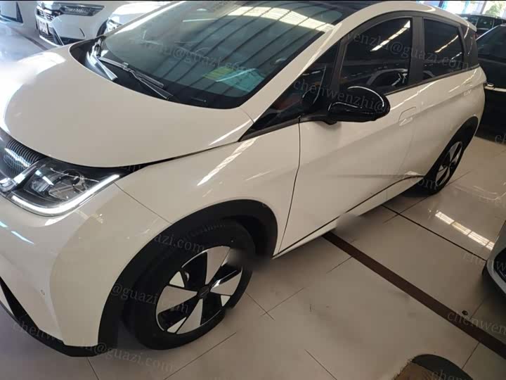 Фото 5 - BYD Dolphin