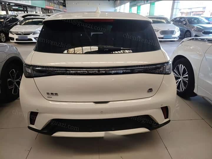 Фото 6 - BYD Dolphin