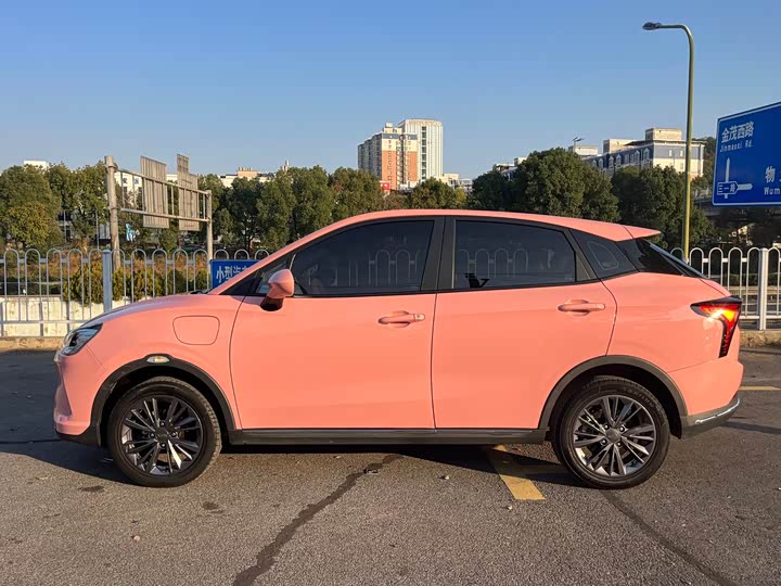 Фото 4 - Hozon V