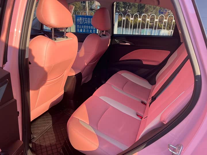 Фото 9 - Hozon V