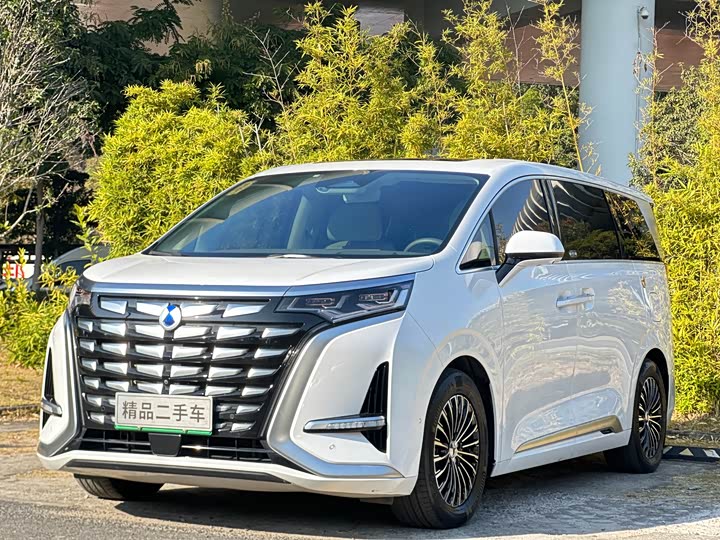 Фото 1 - Denza D9