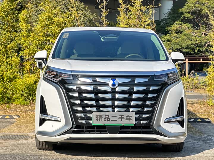 Фото 2 - Denza D9