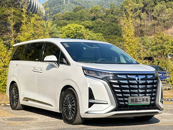 Фото 3 - Denza D9