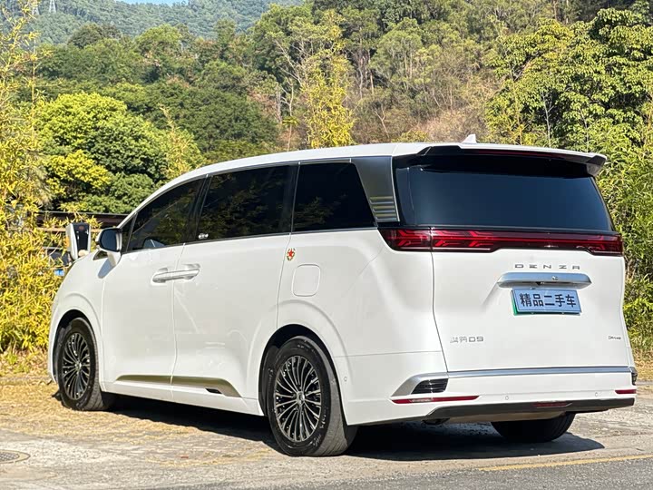 Фото 4 - Denza D9