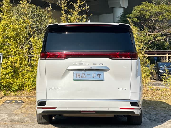 Фото 5 - Denza D9