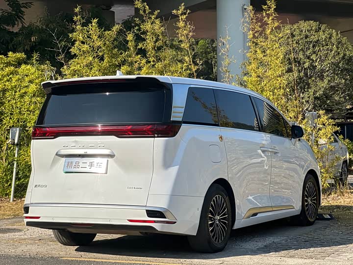 Фото 6 - Denza D9