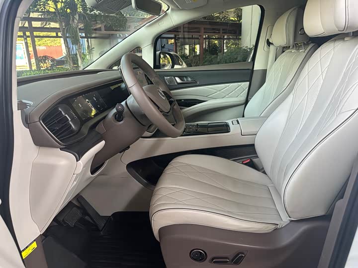 Фото 8 - Denza D9