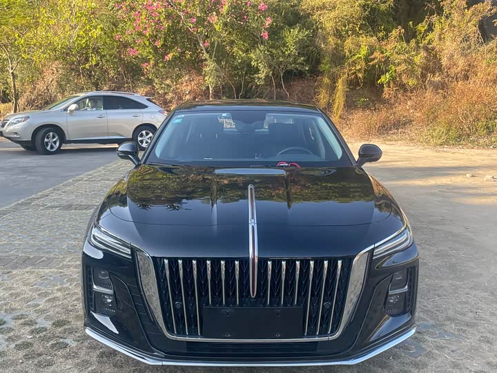 Фото 2 - Hongqi H5