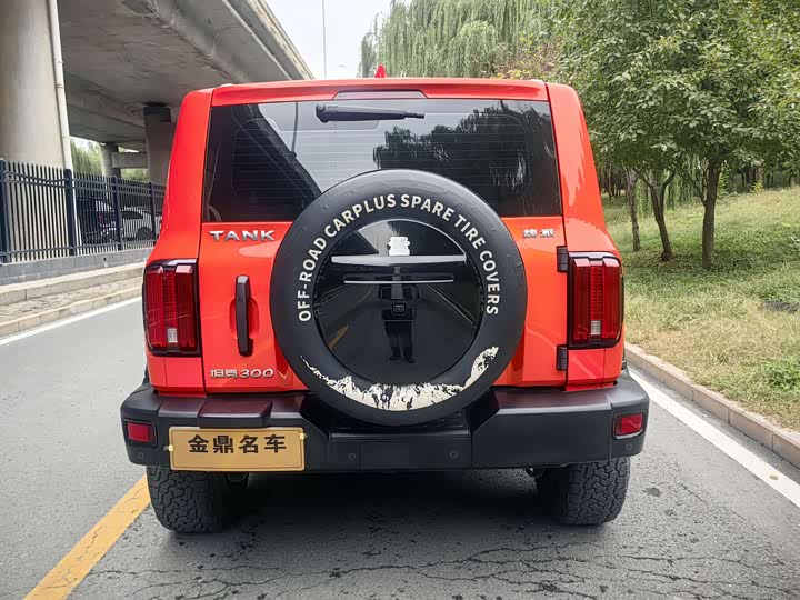 Фото 5 - Tank 300