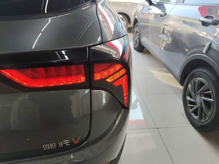 Фото 8 - Hozon V