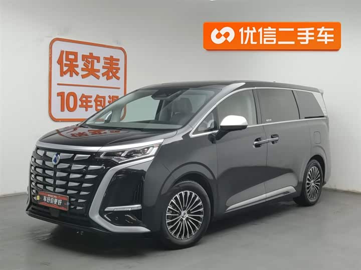 Фото 1 - Denza D9