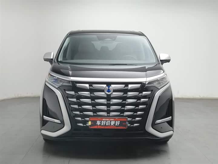 Фото 3 - Denza D9