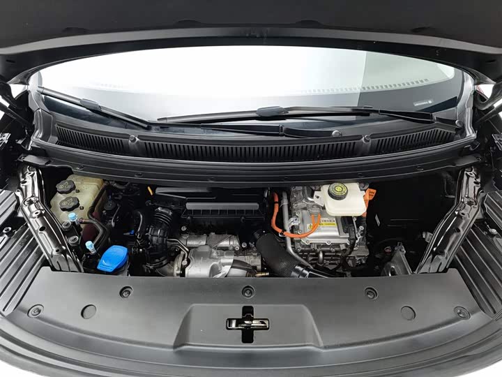 Фото 6 - Denza D9