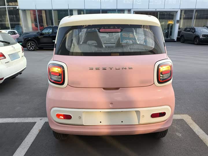 Фото 6 - Bestune Pony