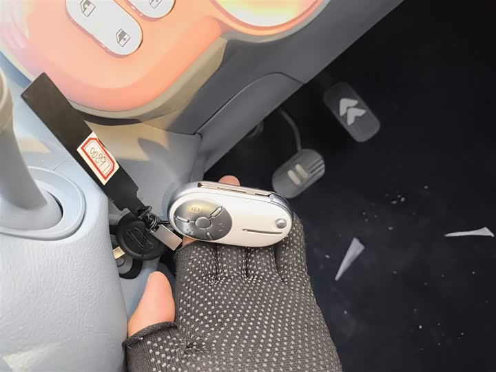 Фото 9 - Bestune Pony