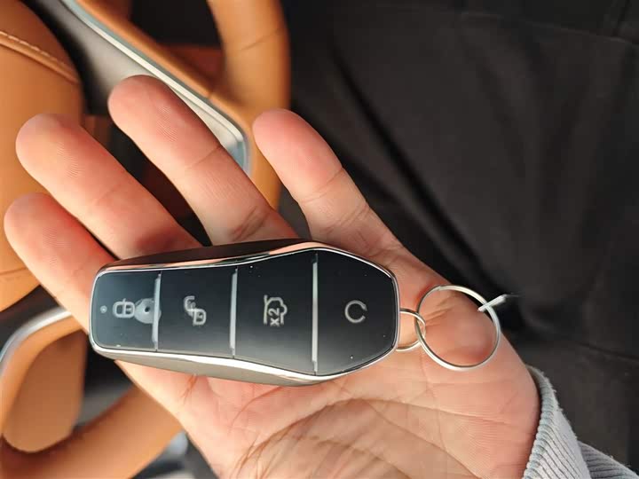 Фото 9 - BYD Han L