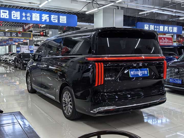 Фото 7 - Wey Gaoshan